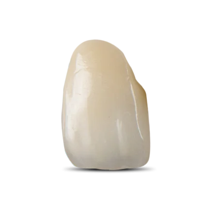 PFZ